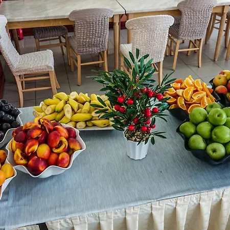 Grand Oasis Солнечный берег